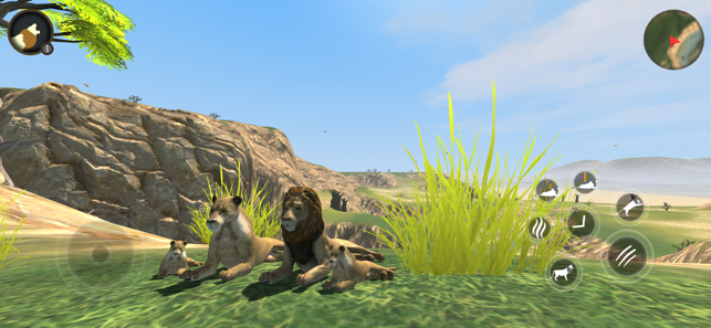 野生狮子生存模拟器游戏手机版图片2