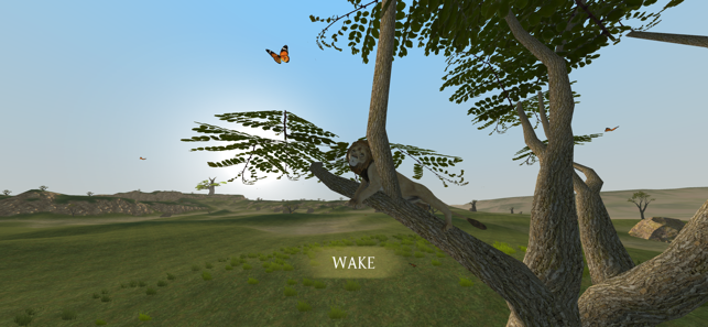 野生狮子生存模拟器游戏手机版图片1