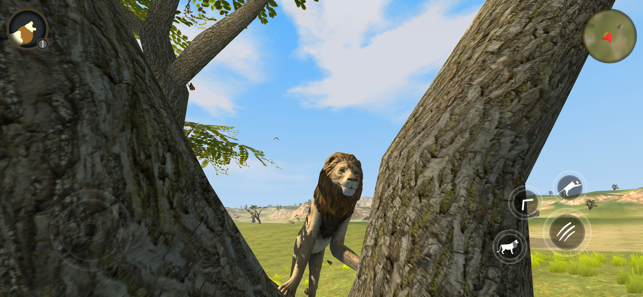 野生狮子生存模拟器游戏手机版 v1.0