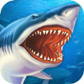 鲨鱼街玩游戏官方版 v1.0.3