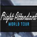 空姐环游世界汉化中文版（Flight Attendant World Tour） v1.0